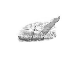 casting a financial net